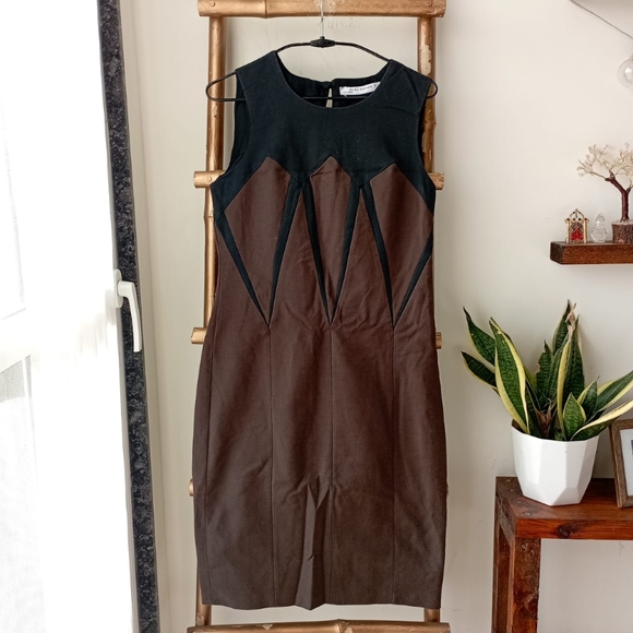 💚 Zara Bodycon Dress - Picture 3 of 13